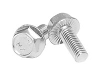 Screw with fixed ring